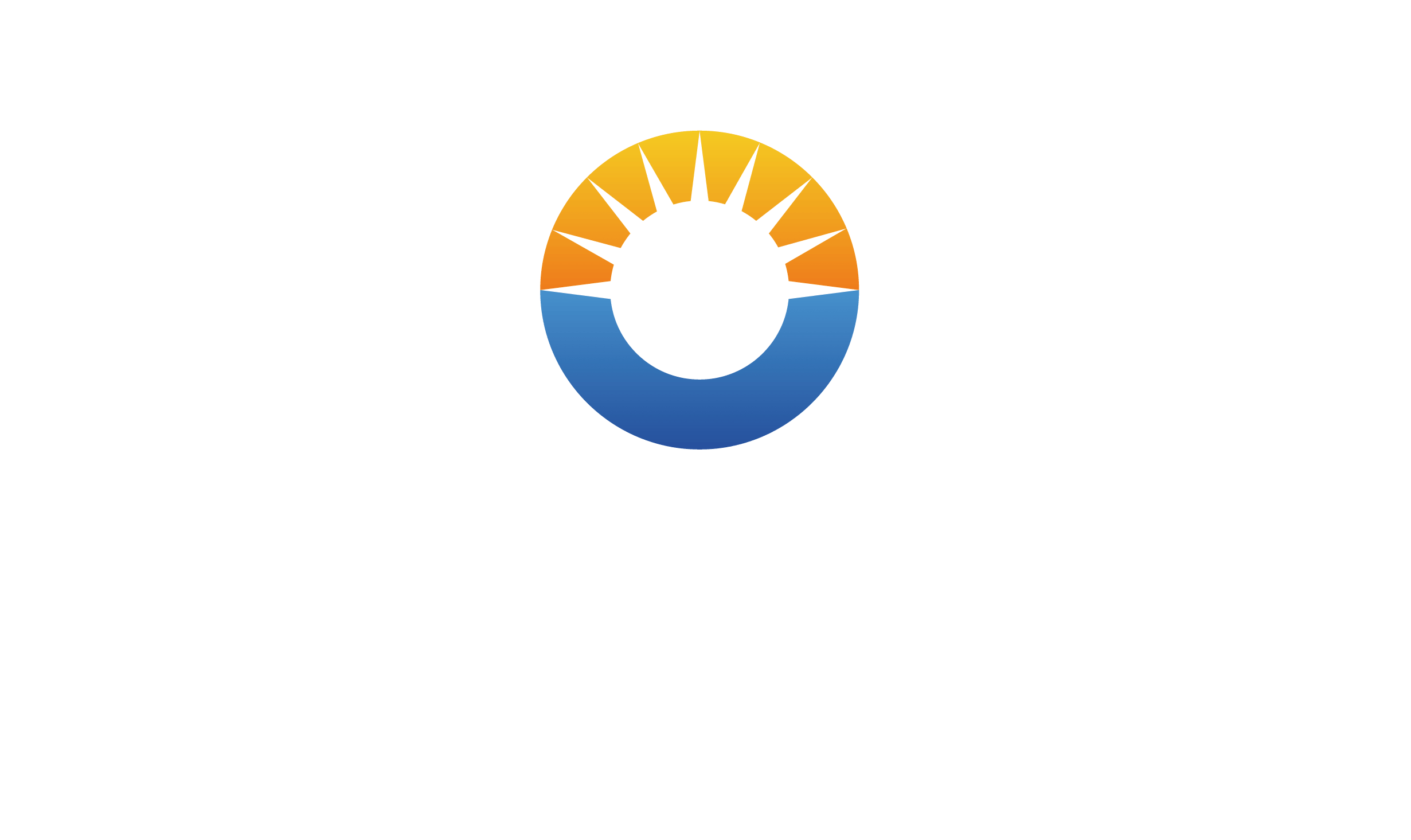 China Digital Energy Storage Leader - Hoenergy logo